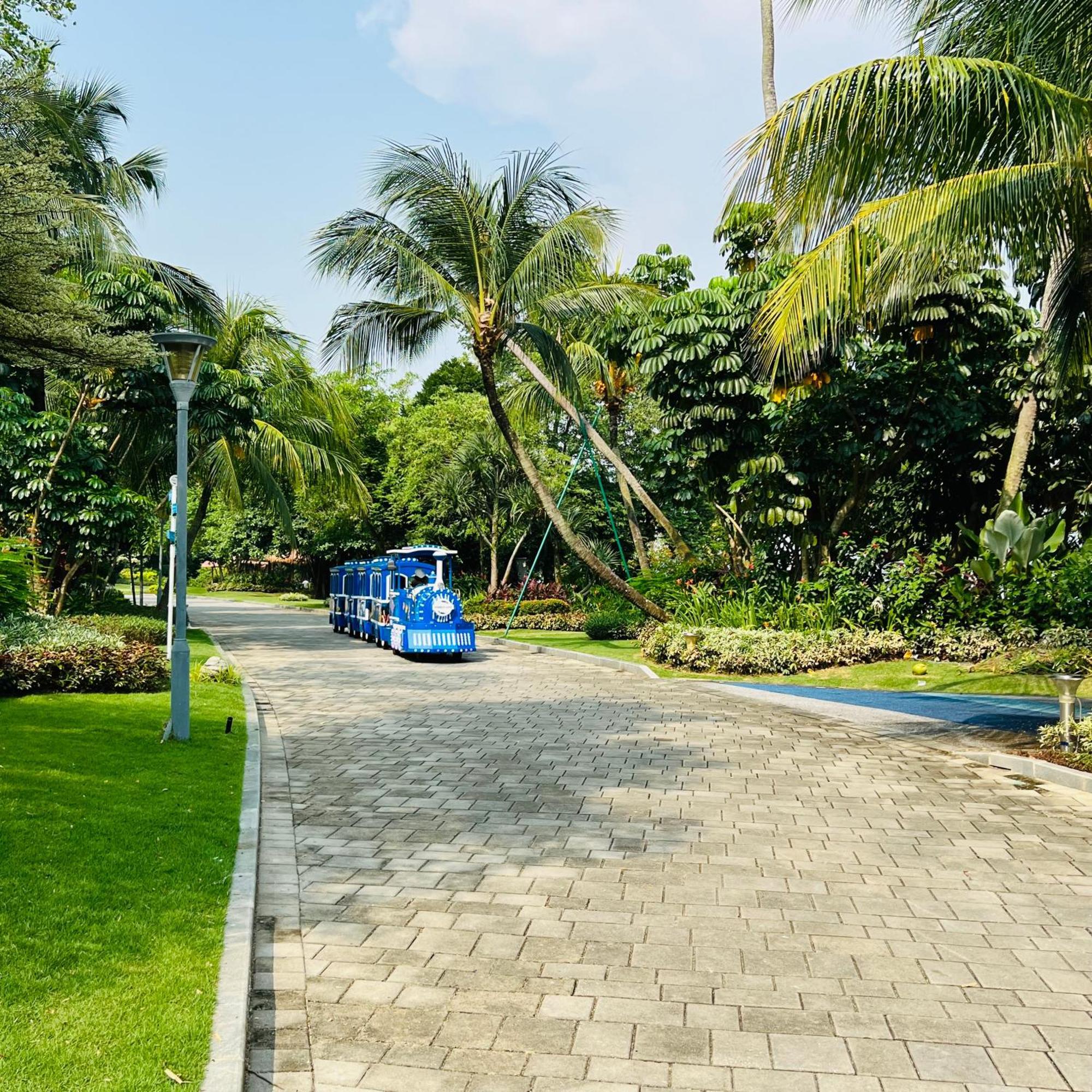Apartment Seaview 2b1r Cozy Forest *