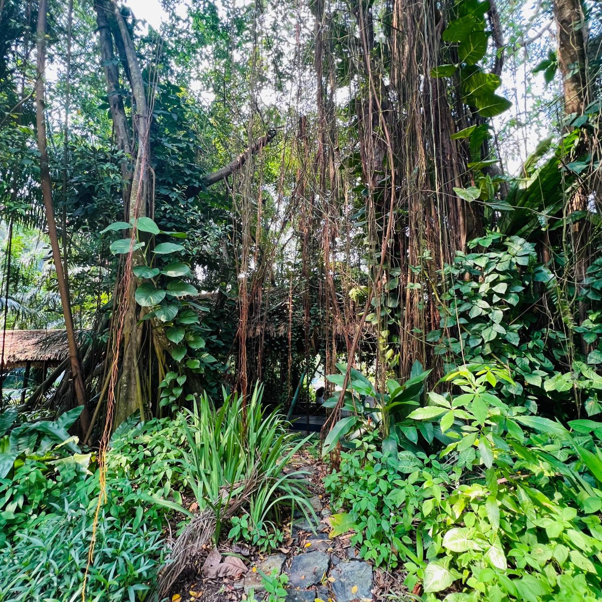Seaview 2b1r Cozy Forest Gelang Patah